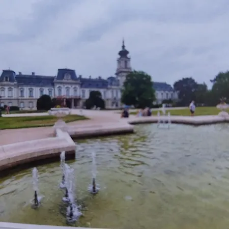 Tulipan Bungalow Camping