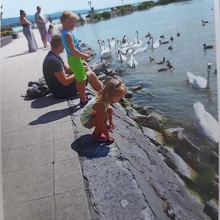 Tulipan Bungalow Camping