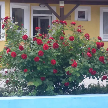 Vakantiepark Tulipan Bungalow Camping Gyenesdiás