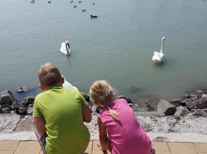 Tulipan Bungalow Camping Üdülőpark Gyenesdiás