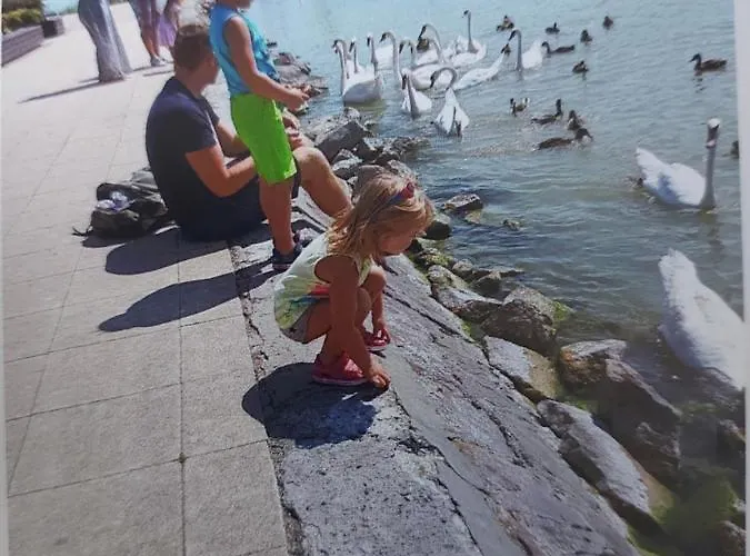 Tulipan Bungalow Camping