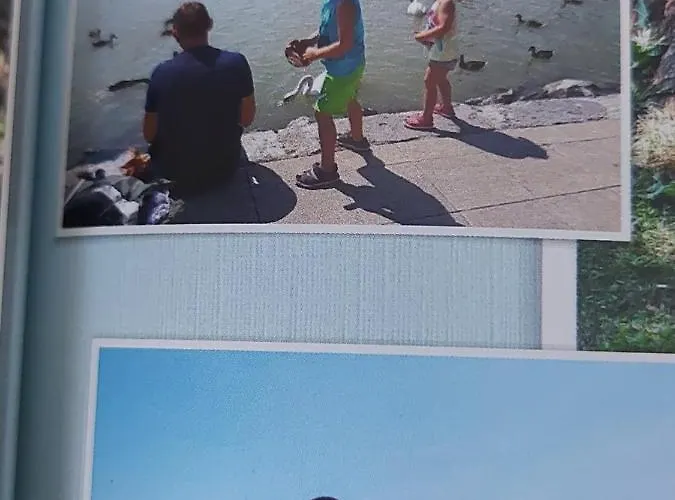 База отдыха Tulipan Bungalow Camping