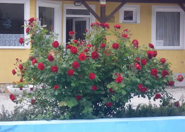 Tatil parkı Tulipan Bungalow Camping Gyenesdiás